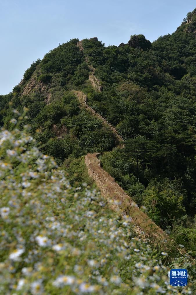 美高梅登陆中心